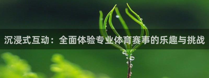 沉浸式互动：全面体验专业体育赛事的乐趣与挑战