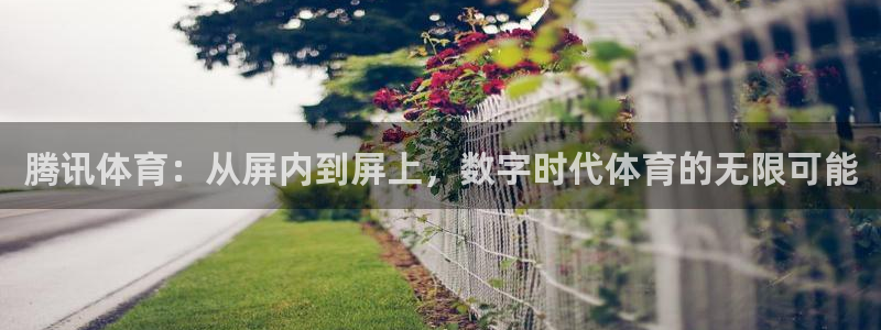 腾讯体育：从屏内到屏上，数字时代体育的无限可能