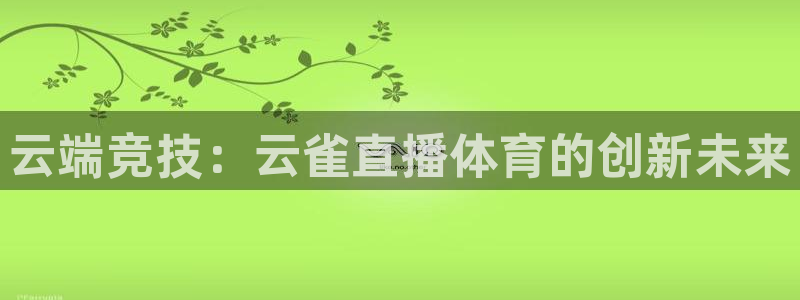 云端竞技：云雀直播体育的创新未来
