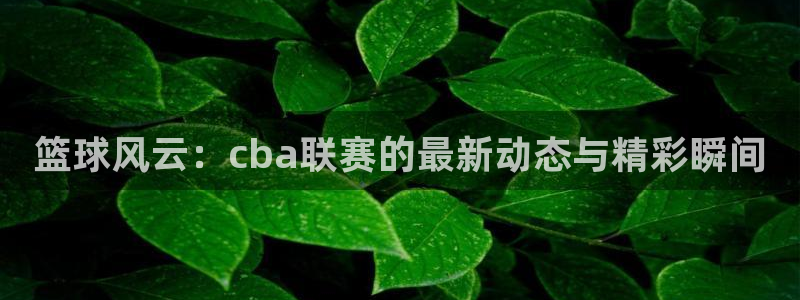 篮球风云：cba联赛的最新动态与精彩瞬间