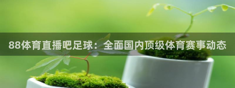 88体育直播吧足球：全面国内顶级体育赛事动态