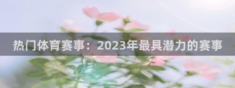 热门体育赛事：2023年最具潜力的赛事