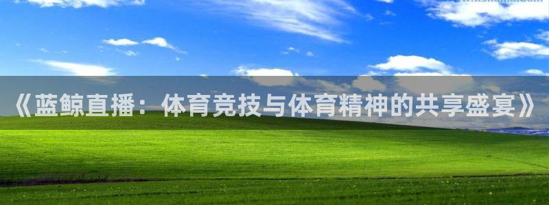 《蓝鲸直播：体育竞技与体育精神的共享盛宴》