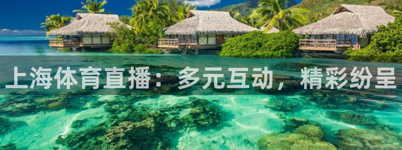上海体育直播：多元互动，精彩纷呈