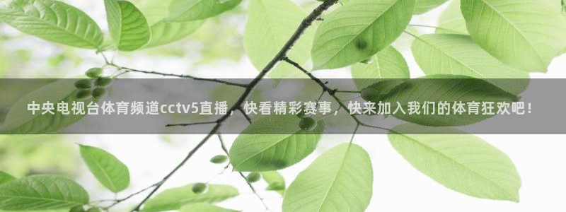 中央电视台体育频道cctv5直播，快看精彩赛事，快来加入我们的体育狂欢吧！