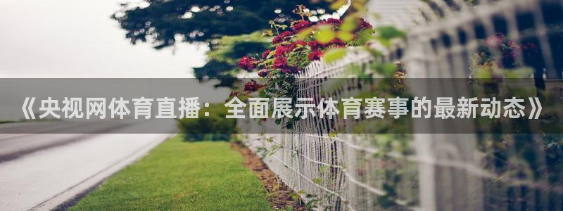 《央视网体育直播：全面展示体育赛事的最新动态》