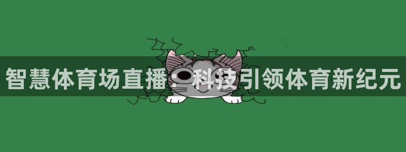 智慧体育场直播：科技引领体育新纪元