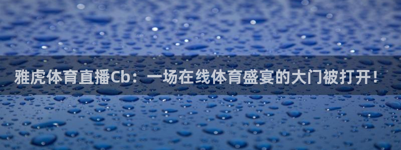 雅虎体育直播Cb：一场在线体育盛宴的大门被打开！