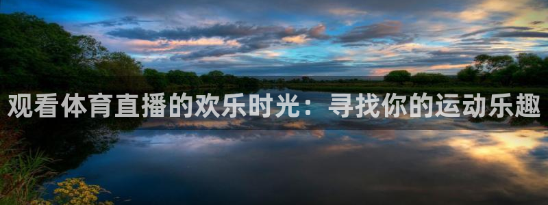 观看体育直播的欢乐时光：寻找你的运动乐趣