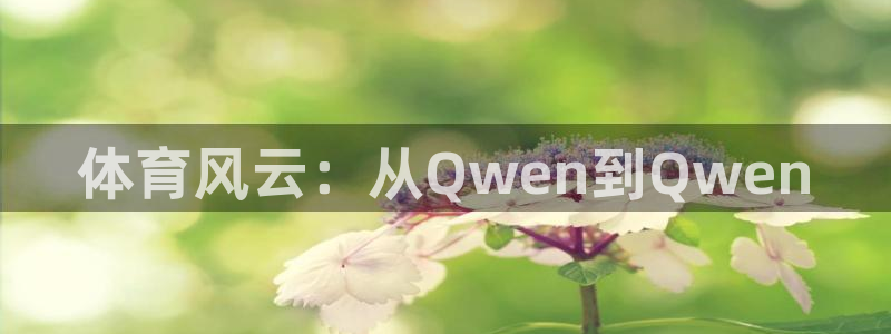 体育风云：从Qwen到Qwen