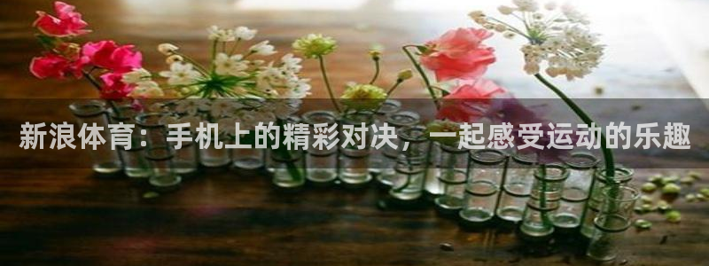 新浪体育：手机上的精彩对决，一起感受运动的乐趣