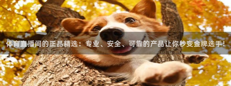 体育直播间的正品精选：专业、安全、可靠的产品让你秒变金牌选手!