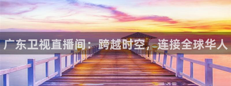 广东卫视直播间：跨越时空，连接全球华人