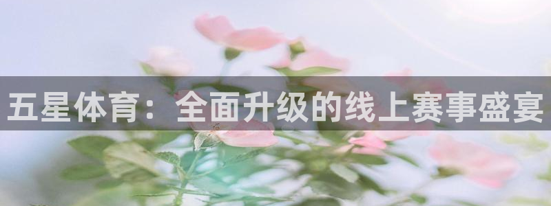 五星体育：全面升级的线上赛事盛宴