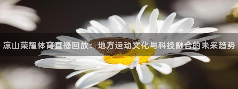 凉山荣耀体育直播回放：地方运动文化与科技融合的未来趋势