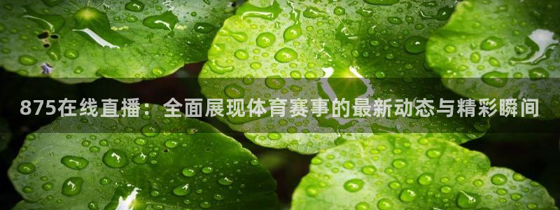 875在线直播：全面展现体育赛事的最新动态与精彩瞬间